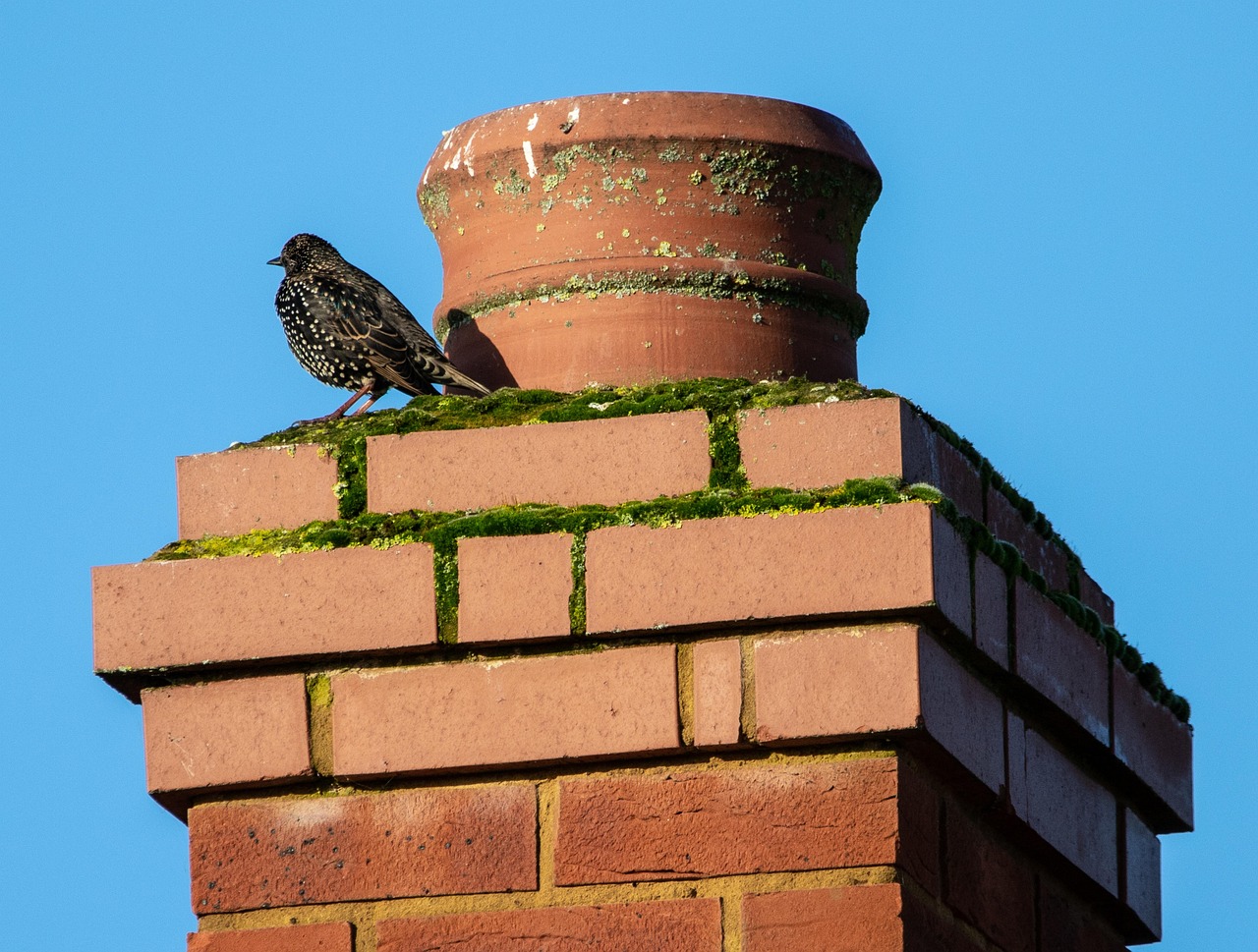 Disused Chimney