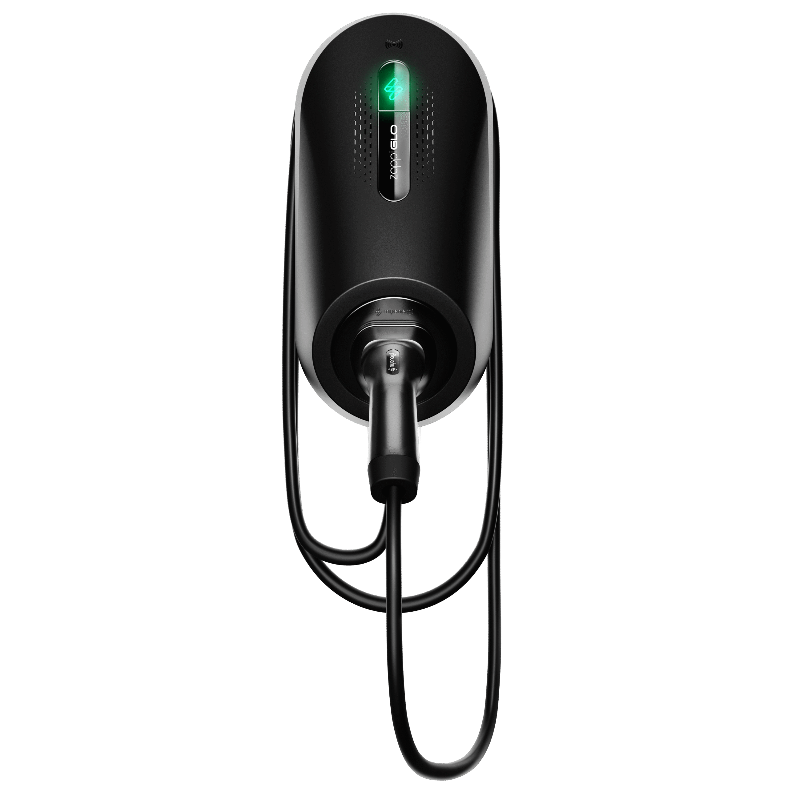 Zappi Glo Front on